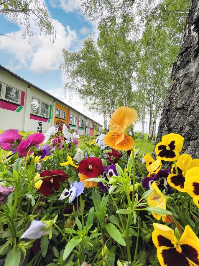 Koza I Brzoza, Domki Z Kontenerow Piechowice  Ngoại thất bức ảnh